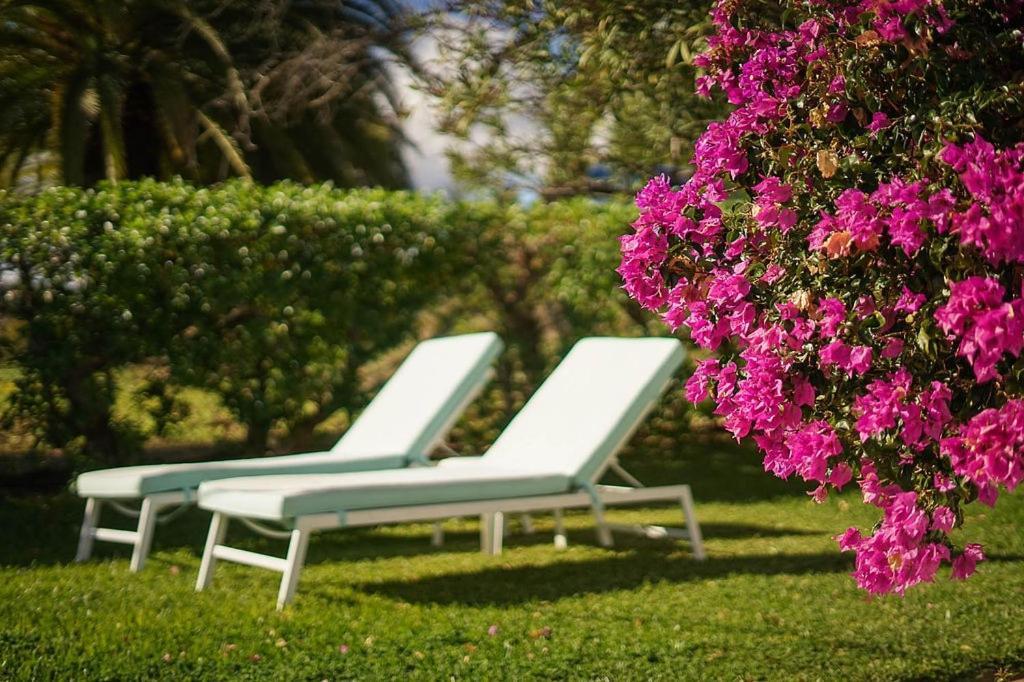 Casa 2Mariposas Villa Mijas Dış mekan fotoğraf