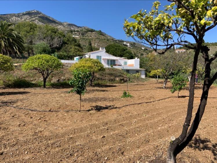 Casa 2Mariposas Villa Mijas Dış mekan fotoğraf